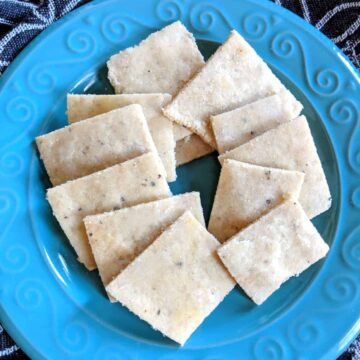 Eleven crackers on a teal plate.