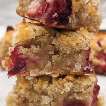 cranberry_orange_bars2_1_wiw2je-q_auto (1)