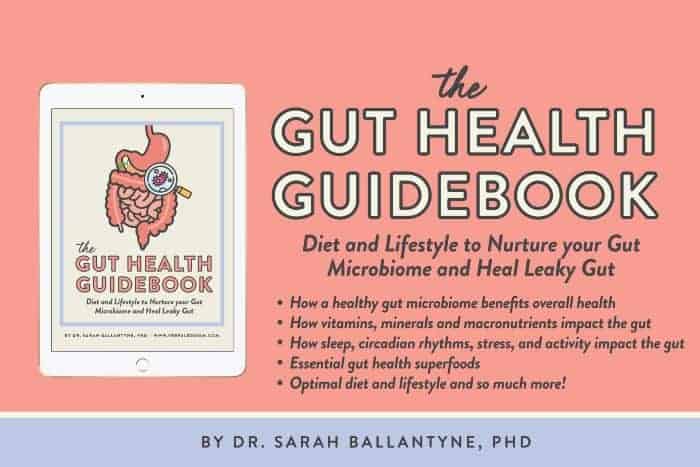 gut health book