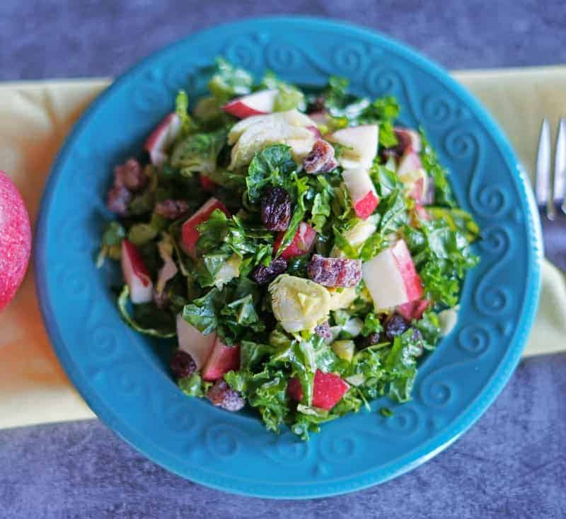 Warm Kale Salad with Apples and Lemon Maple Dressing (Paleo, AIP, GF, Vegan)