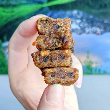 stack of apricot bites held between two fingers.