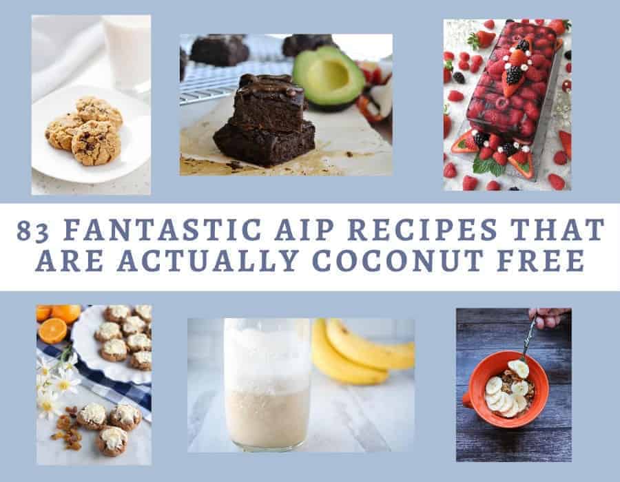 83 Fantastic AIP Recipes That Are Actually Coconut Free