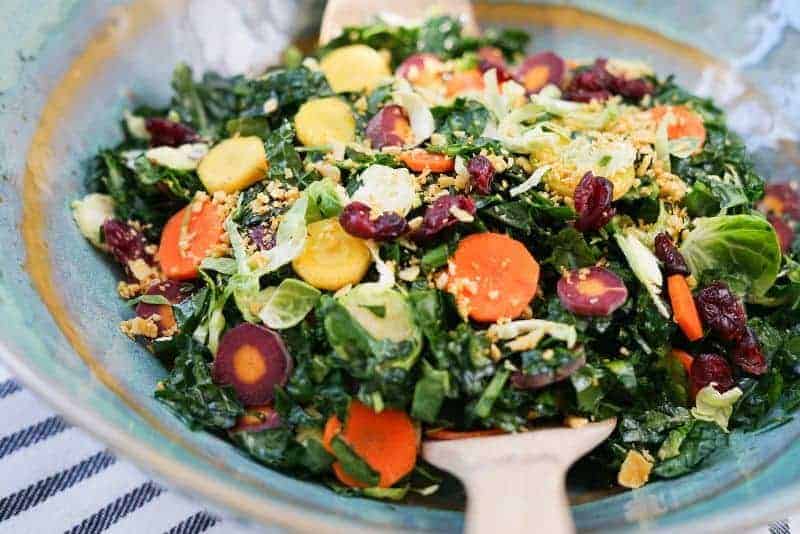 Kale Salad with Rainbow Carrots and Cranberries (AIP, Paleo, Whole30)