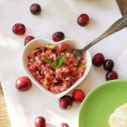 aip cranberry relish salsa (1)