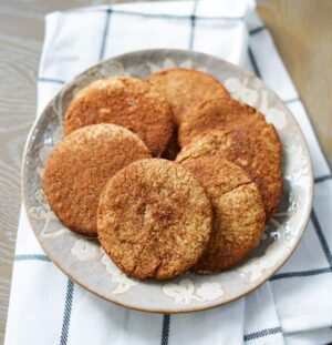 aip snickerdoodle cookie