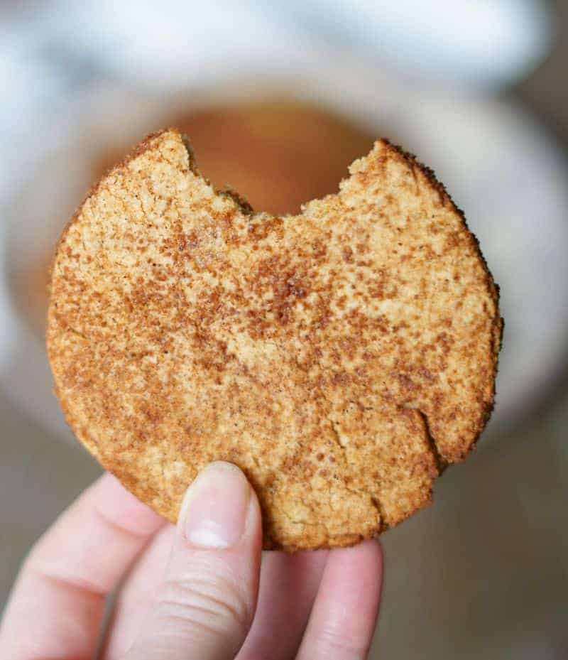 aip snickerdoodle cookie