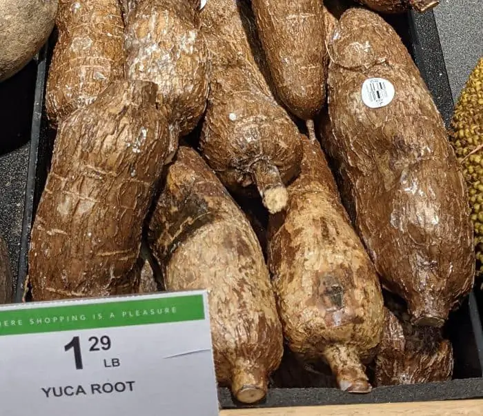 yuca root