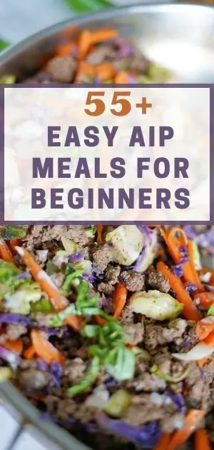 Easy AIP Meals for Beginners (1)